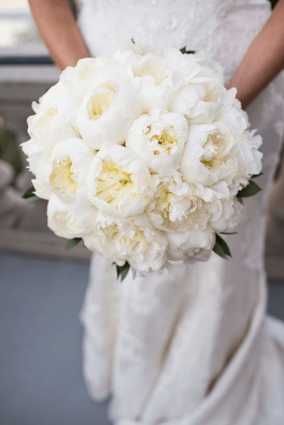 file-5369053
