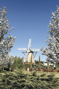 wedding venues