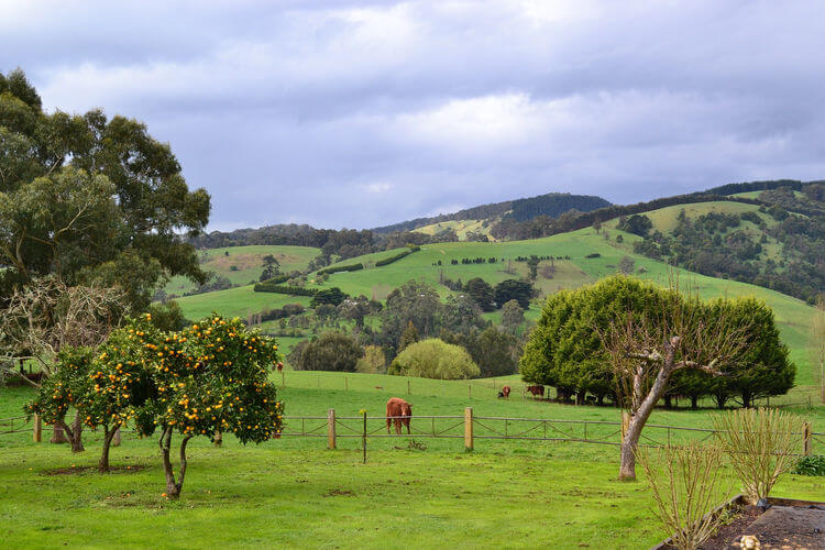 Rustic Wedding Destinations in Australia