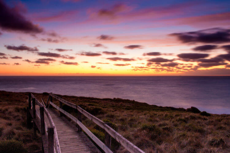 Wildlife-Inspired Wedding destination in Phillip Island