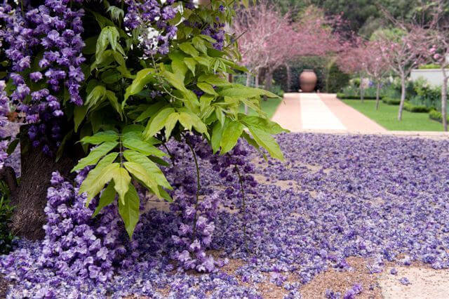 wedding venues