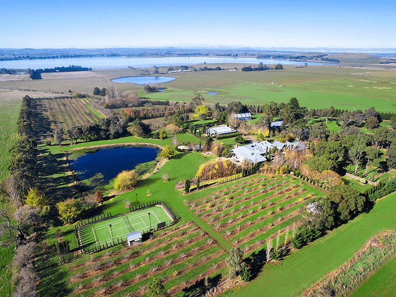 Image Via: Orchards at Spring Vale Farm file-2955094