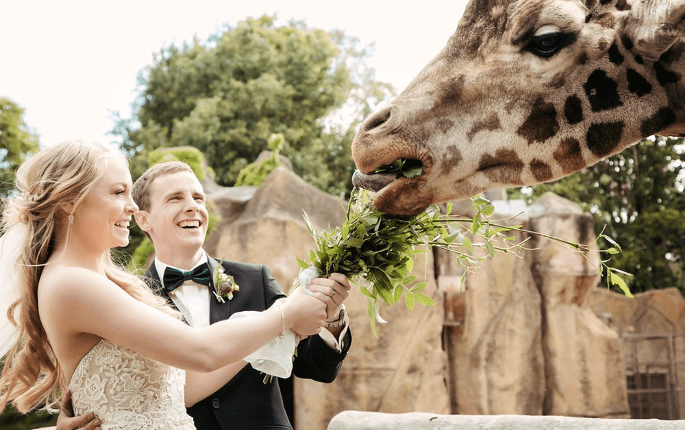 Image Via: The Melbourne Zoo file-5321770
