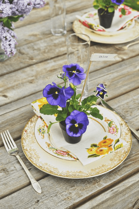 Image Via: Intimate Weddings file-5673021